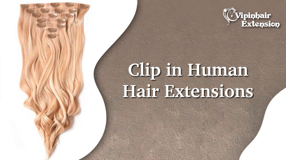 Clip in Human Hair Extensions