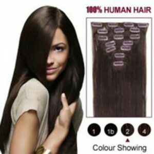 20" Straight Color #2 Clip in Hair Extension